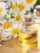 Chamomile_Oil